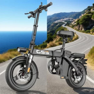 TOOFLY GS3 vélo électrique pliant 250W moteur 48V15AH batterie au Lithium amovible adulte vélo électrique ville équitation trajet Ebike 5